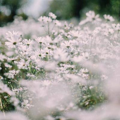 天博官网APP下载