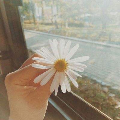 万博体育APP网址